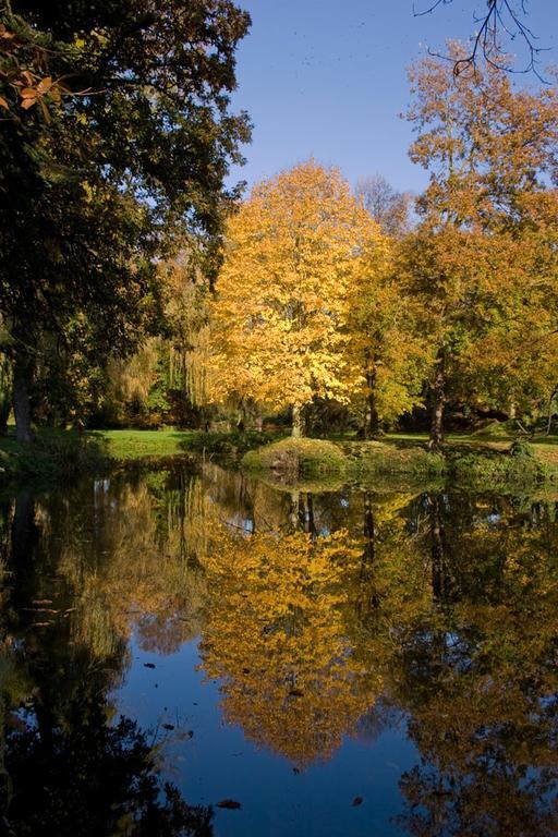 Manoir Du Plessix Meen Pluduno Dış mekan fotoğraf